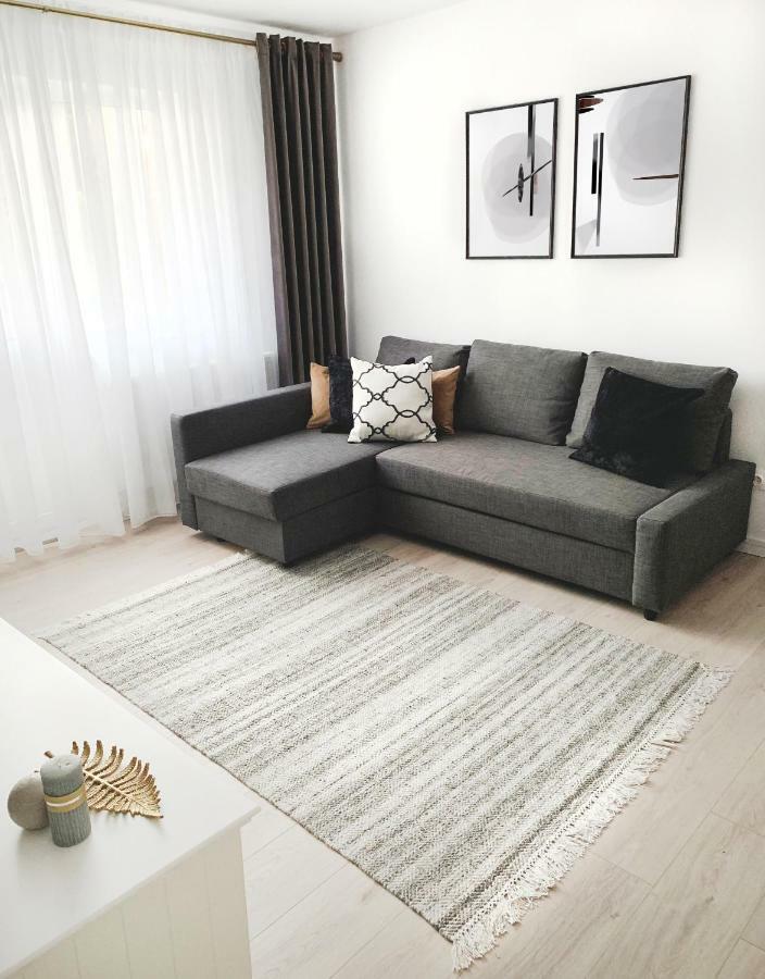 MHC Quiet Deluxe Suite near Downtown - Free Parking Braşov Buitenkant foto